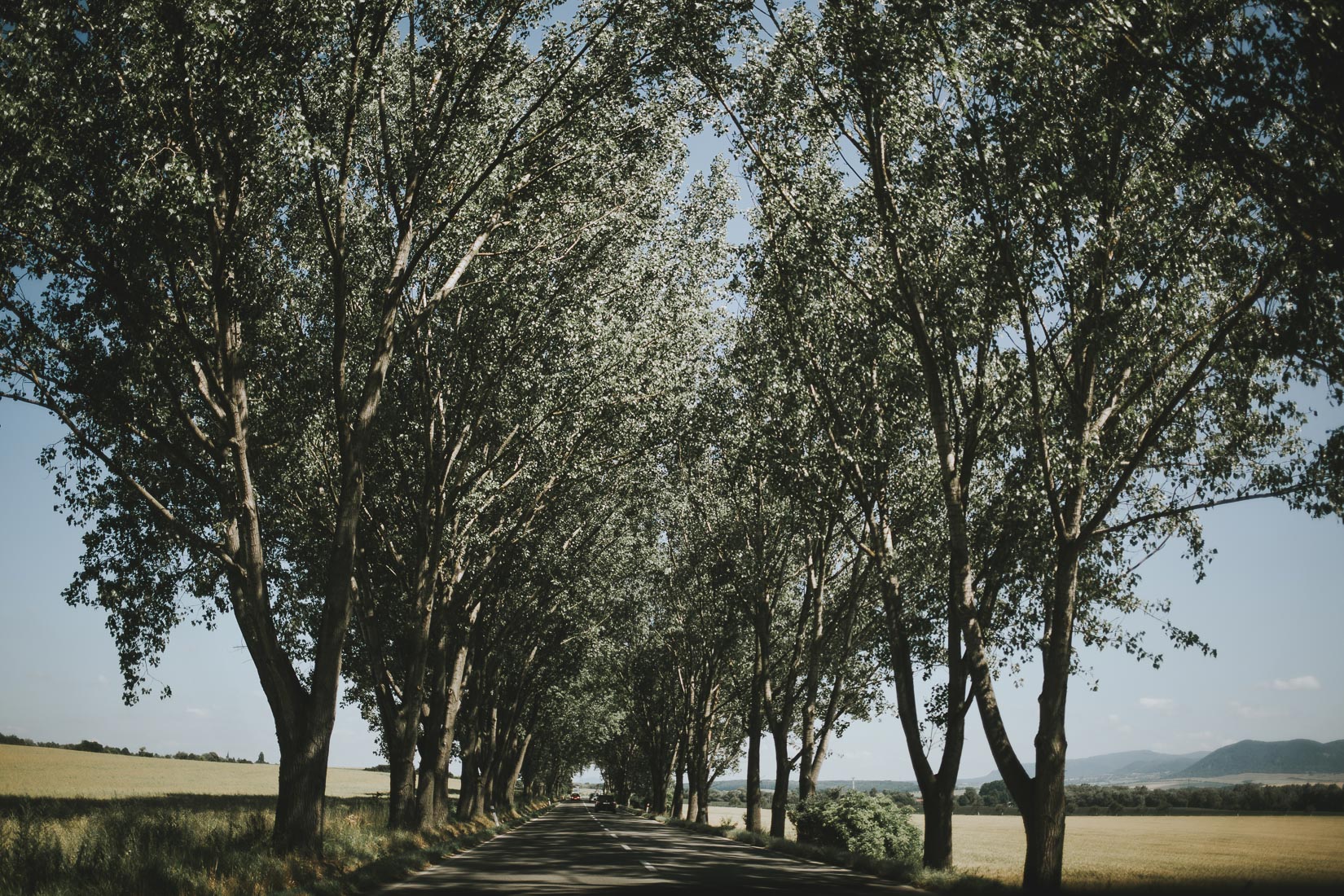 Sesja ślubna narzeczeńska Budapeszt, Wedding session Budapest