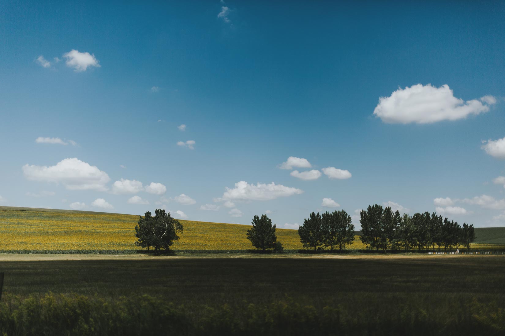 Sesja ślubna narzeczeńska Budapeszt, Wedding session Budapest