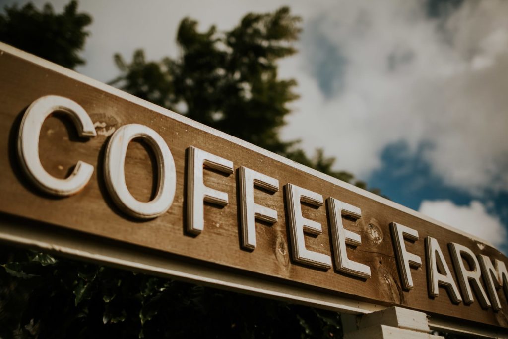 ślub hawaje, wedding hawaii, honolulu, oahu, wedding sesion hawaii