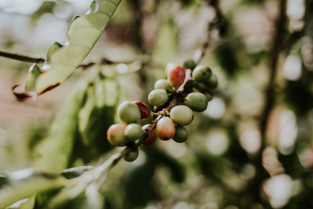 ślub hawaje, wedding hawaii, honolulu, oahu, wedding sesion hawaii