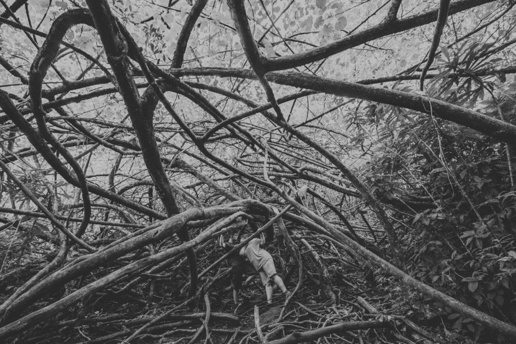 ślub hawaje, wedding hawaii, honolulu manoa falls, oahu, wedding sesion hawaii