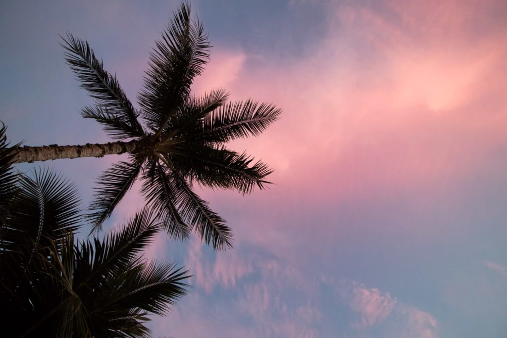 ślub hawaje, wedding hawaii, honolulu, oahu, wedding sesion hawaii