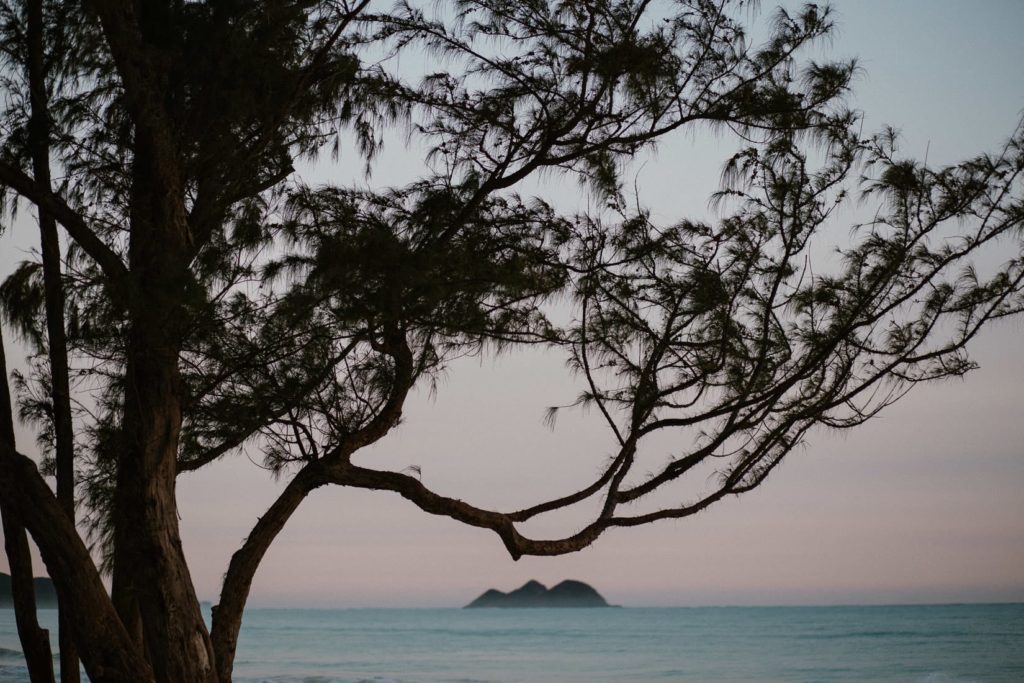 Ślub na Hawajach, Sesja ślubna na Hawajach, wedding sesion Hawaii, Hawaii wedding photographers, wedding sesion Hawaii