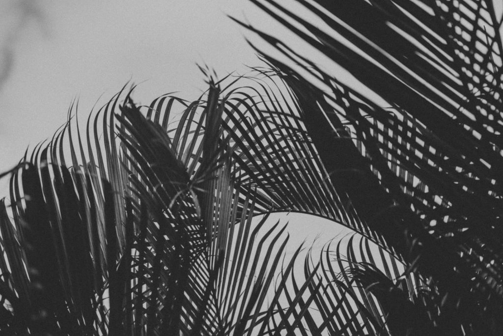 Honolulu wedding, Ślub na Hawajach, Sesja ślubna na Hawajach, wedding sesion Hawaii, Hawaii wedding photographers