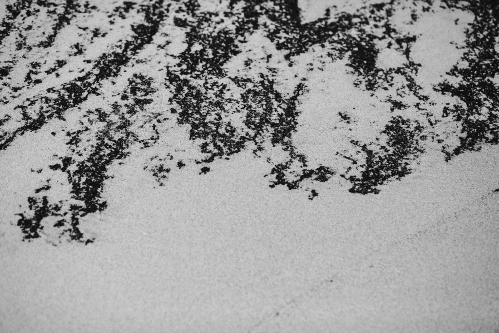 halona beach cove wedding session