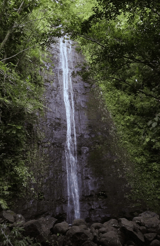 manoa falls