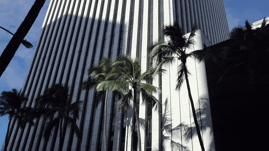 ślub hawaje, wedding hawaii, honolulu, oahu, wedding sesion hawaii