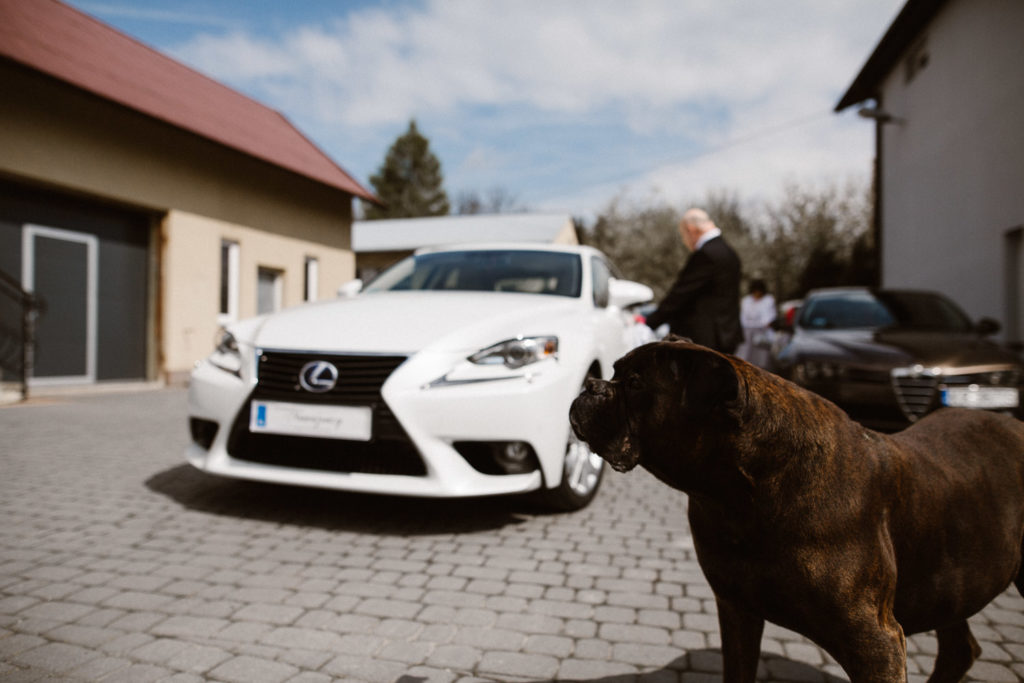 Ślub pałac w Konarach, Pacanów, Fotografia ślubna Kielce , fotograf ślubny Kraków