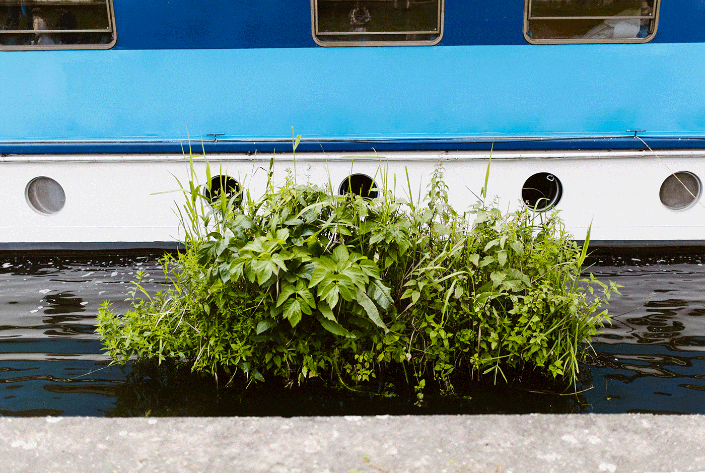 Sesja ślubna w Berlinie, Berlin Sesja ślubna