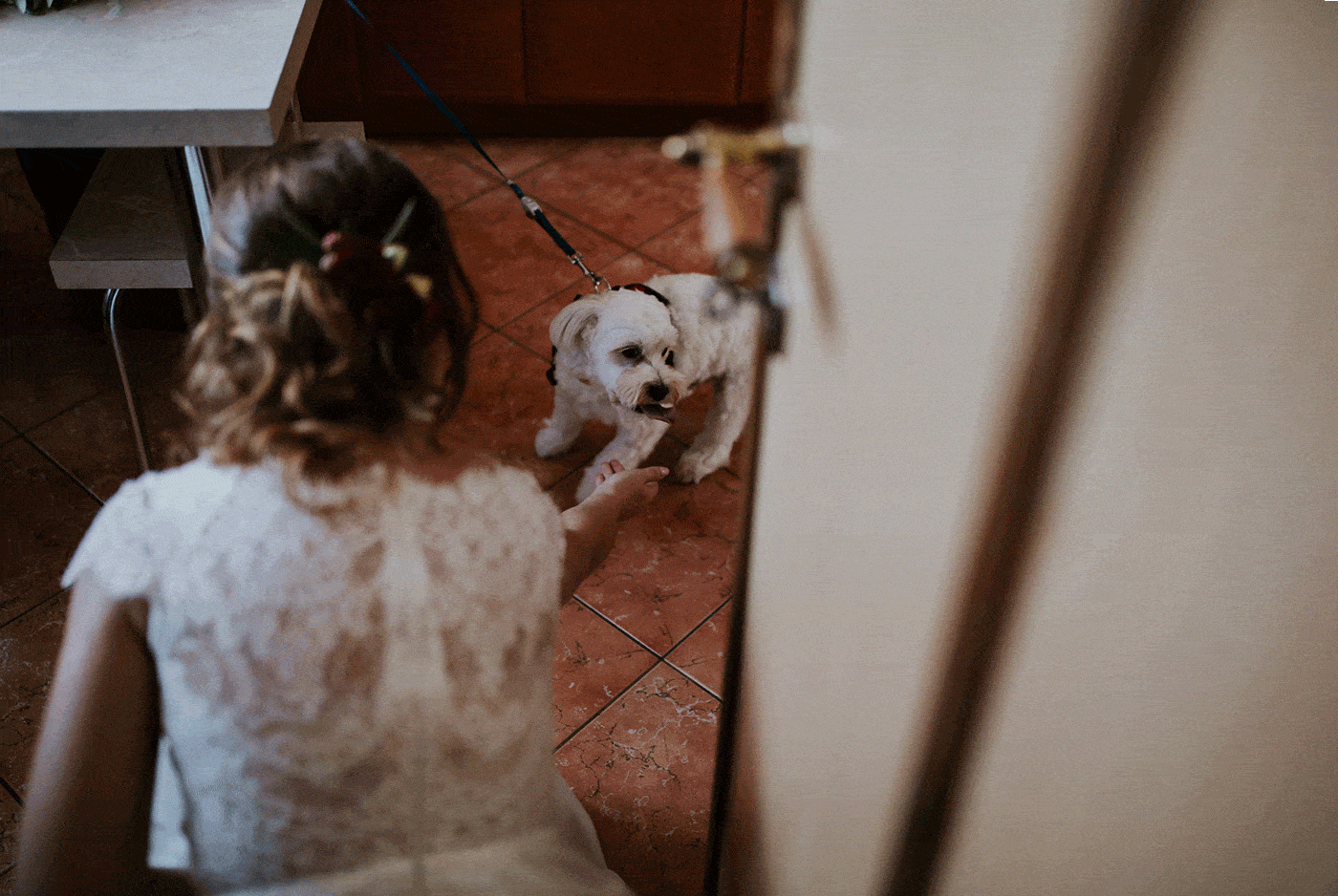 Fotografia ślubna Kraków, Wesele Hotel Dobczyce 