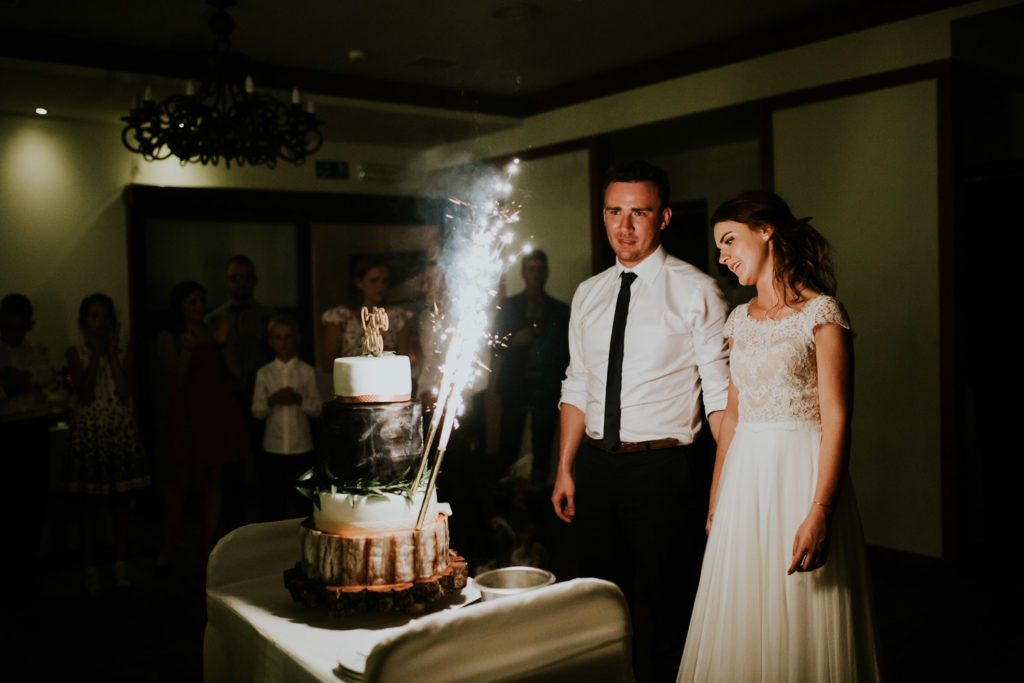 Fotografia ślubna Kraków, Wesele Hotel Dobczyce 