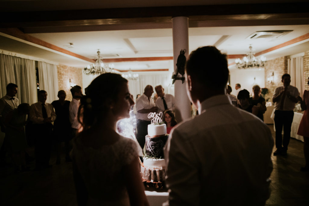 Fotografia ślubna Kraków, Wesele Hotel Dobczyce 