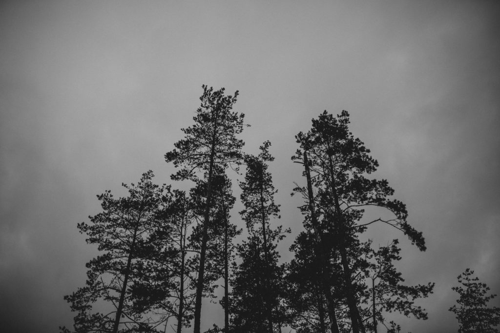 Sesja ślubna Pustynia Błędowska