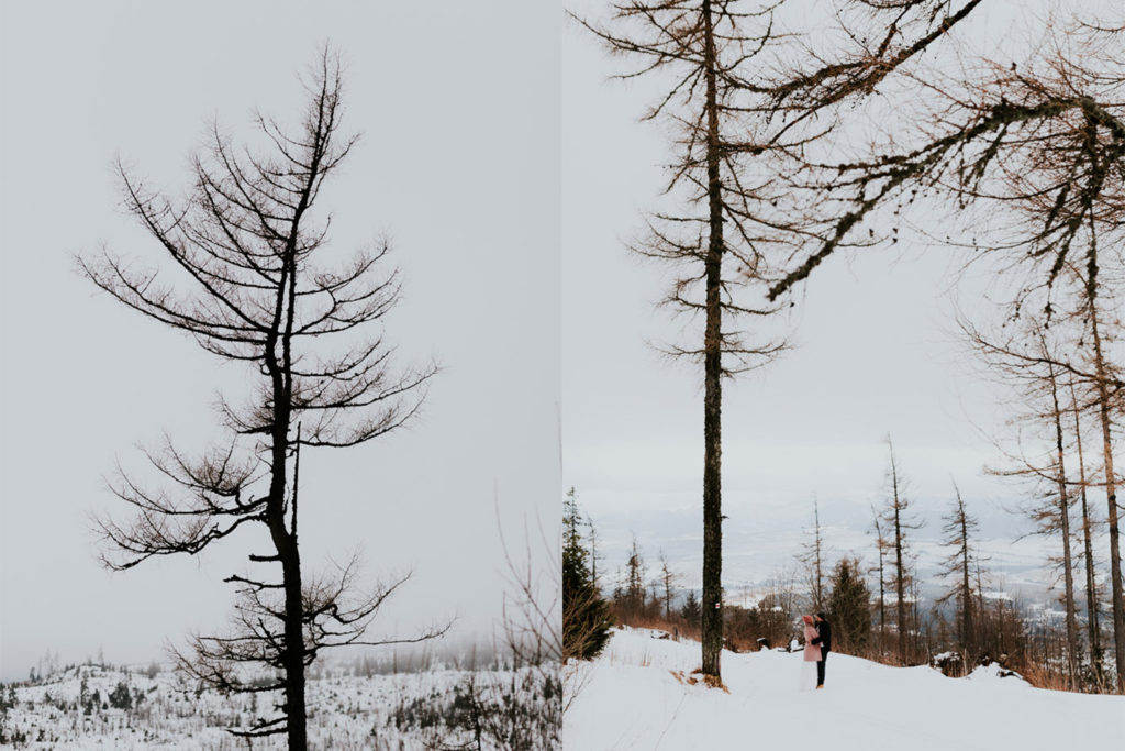 Sesja ślubna w górach, plener w górach