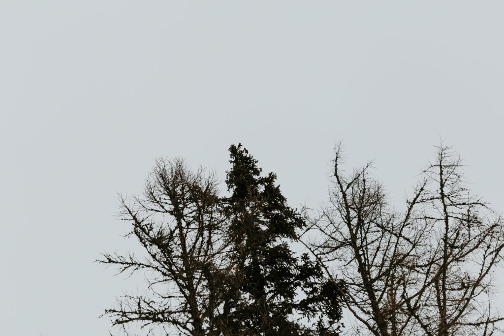 Sesja ślubna w górach, plener w górach