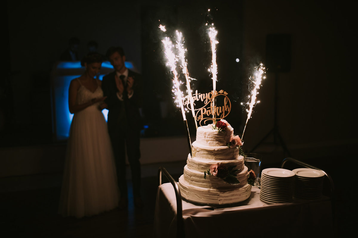 Przyjęcie Ślubne Hotel Artis Warszawa Ślub plenerowy Fotograf Śłubny Warszawa