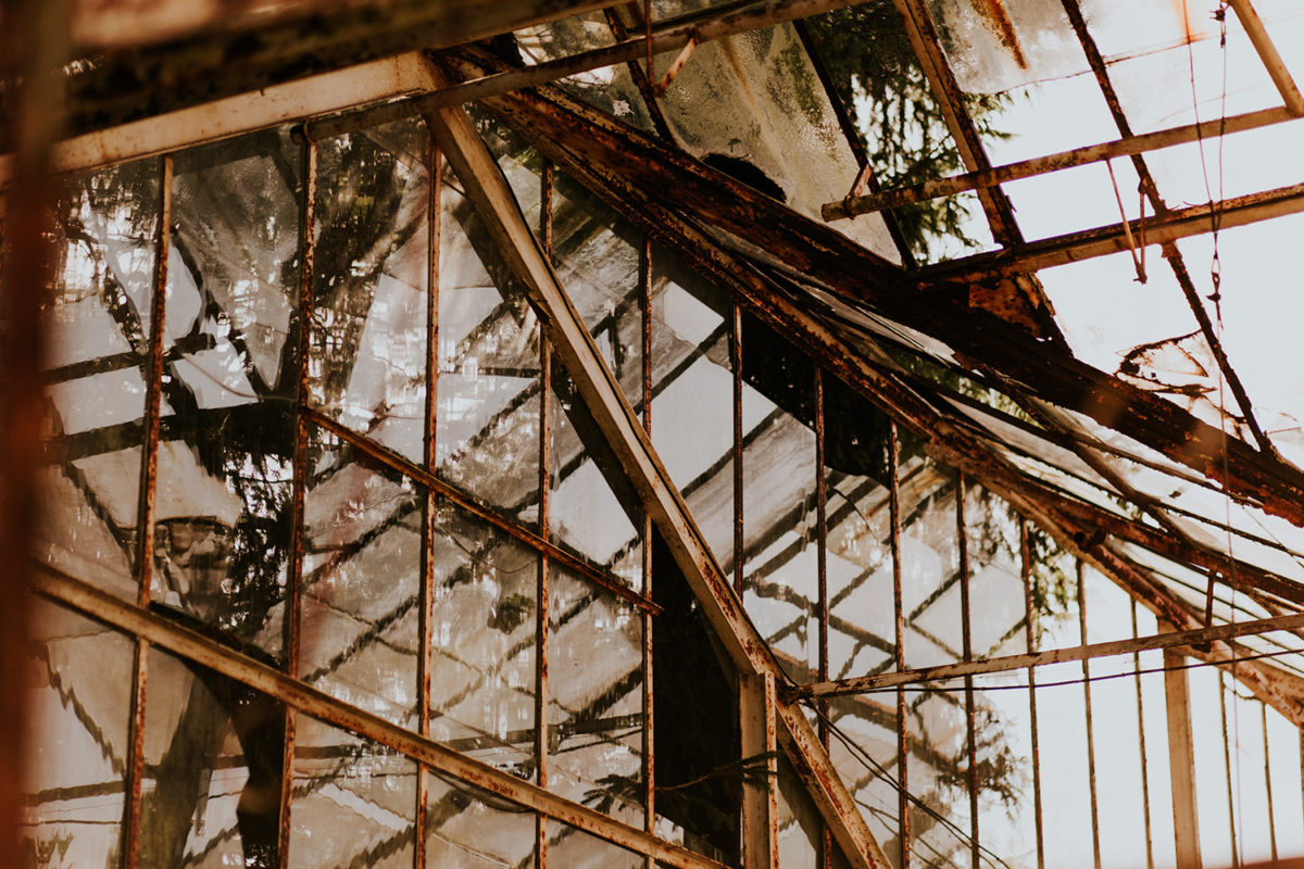 Sesja Ślubna w szklarni, Sesja Ślubna w opuszczonej szklarni, fotograf ślubny Warszawa, fotografia ślubna Warszawa, sesja ślubna w lato w plenerze w naturze