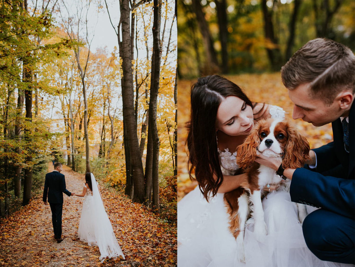 Sesja Ślubna Ojców, Ojcowski Park Narodowy jesienią Kraków, Duet Fotografów, Sesja Ślubna z psem z pieskiem