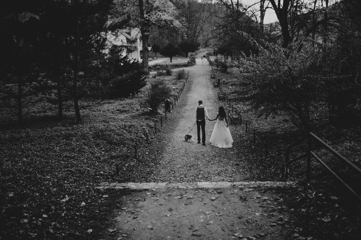 Sesja Ślubna Ojców, Ojcowski Park Narodowy jesienią Kraków, Duet Fotografów, Sesja Ślubna z psem z pieskiem