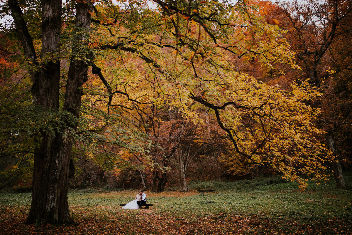 Sesja Ślubna Ojców, Ojcowski Park Narodowy jesienią Kraków, Duet Fotografów, Sesja Ślubna z psem z pieskiem