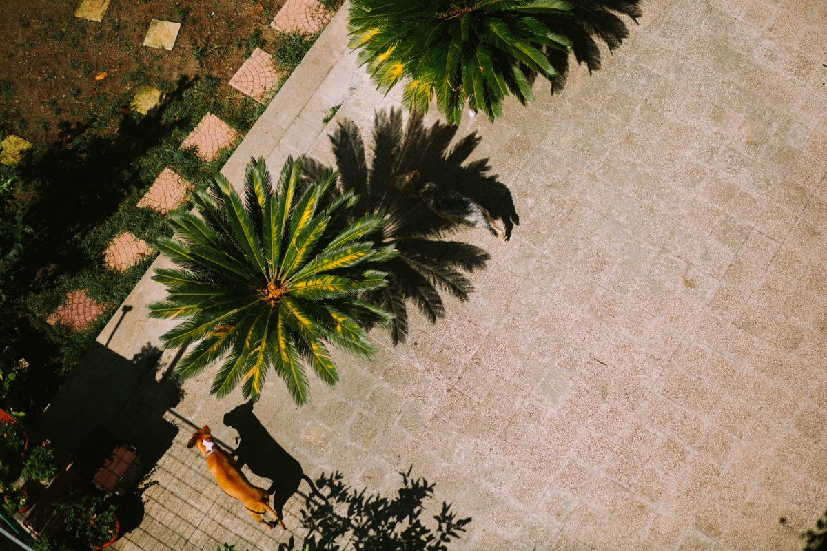 Polski Ślub w Rzymie, Polski Fotograf w Rzymie, Wedding in Rome, Matrimonio a Roma