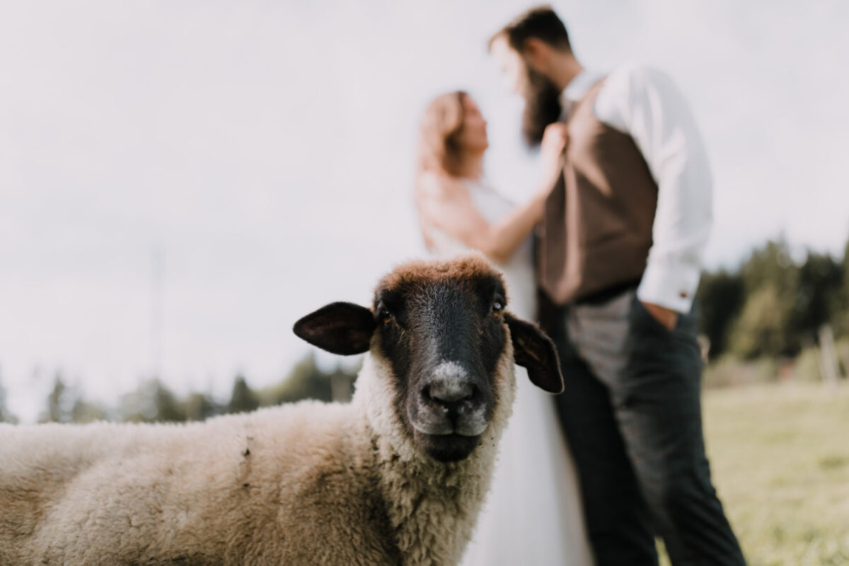Boho sesja, sesja ślubna Piwniczna Zdrój, rustykalna sesja ślubna
