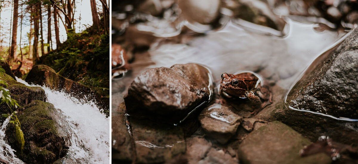 sesja ślubna w Warszawie, sesja ślubna przy wodospadzie, sesja ślubna w górach